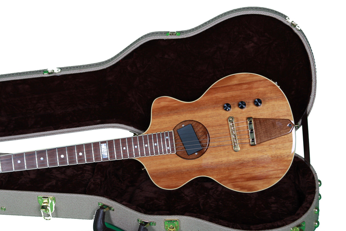 Rick Turner Model 1 Limited Icon Series Absolutely Mint - Rick Turner Guitars - Heartbreaker Guitars