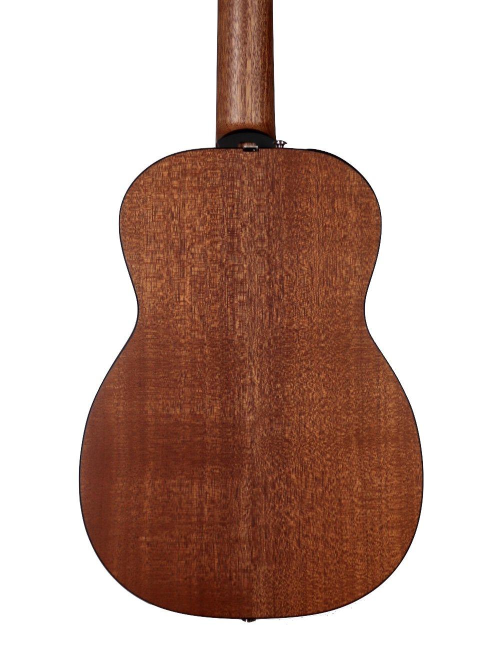 Furch Little Jane LJ10-CM #85387 - Furch Guitars - Heartbreaker Guitars