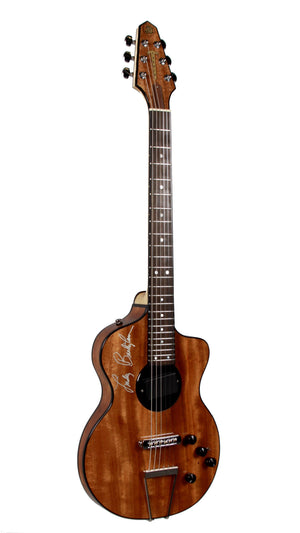 Rick Turner 40th Anniversary Lindsey Buckingham #15/18 - Rick Turner Guitars - Heartbreaker Guitars
