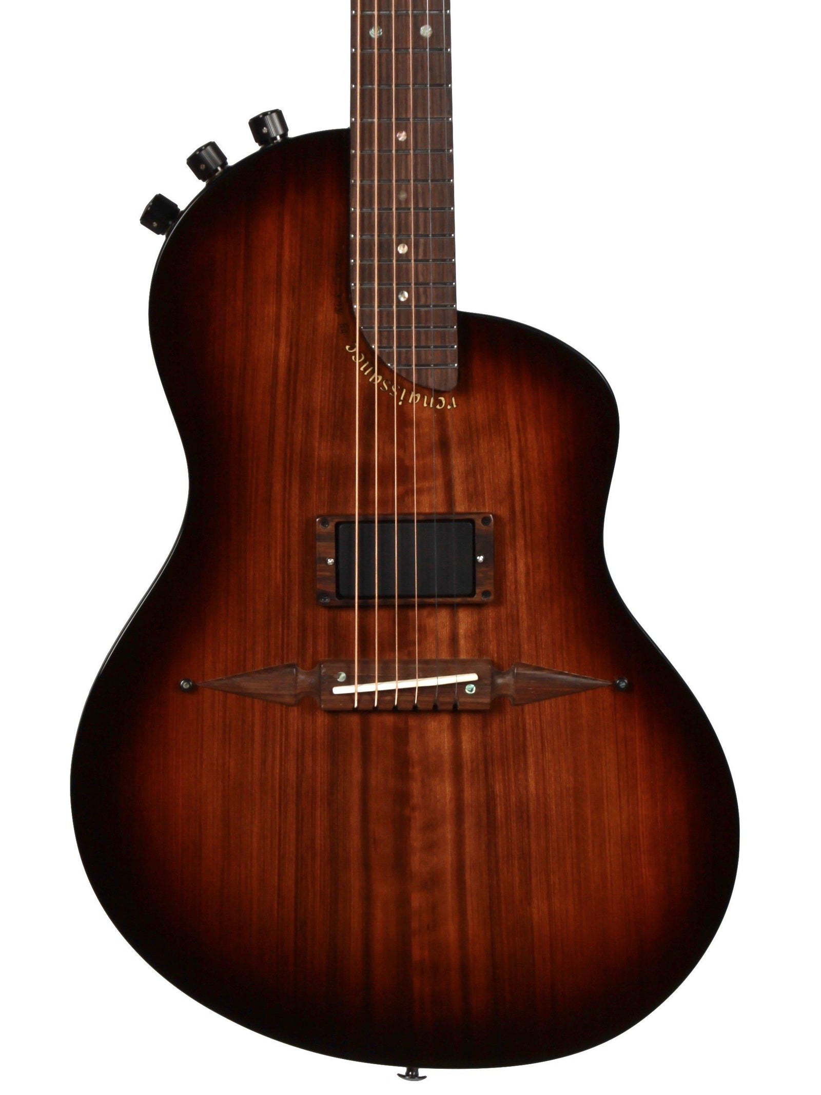 Renaissance RS6 Deuce Custom Rosewood Deluxe Mohawk Electronics - Rick Turner Guitars - Heartbreaker Guitars