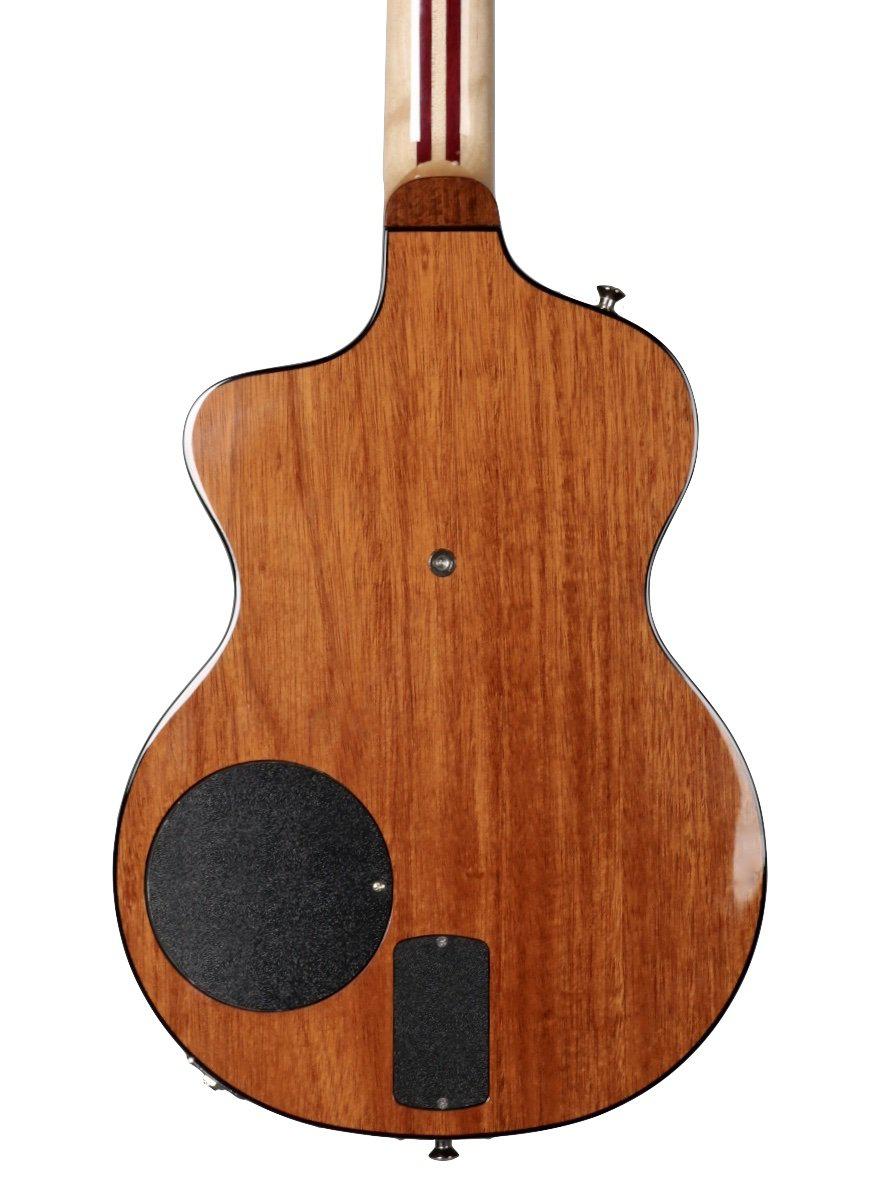 Rick Turner 40th Anniversary Lindsey Buckingham #19/19 - Rick Turner Guitars - Heartbreaker Guitars