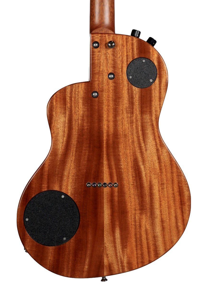 Renaissance RS6 Spruce over Mahogany - Rick Turner Guitars - Heartbreaker Guitars