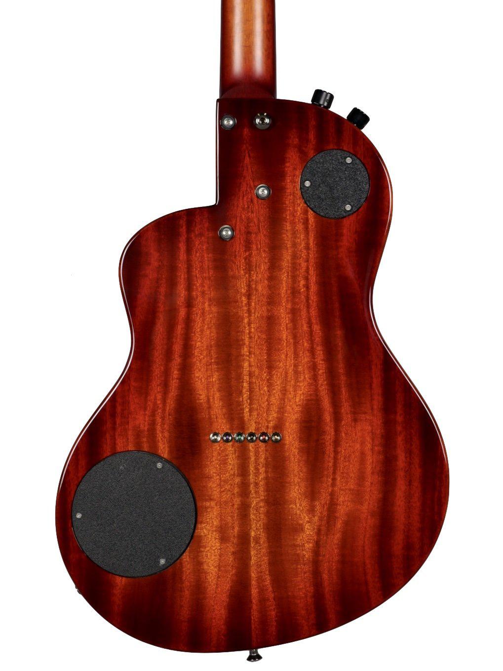 Renaissance RS6 Sunburst Custom #5526 - Rick Turner Guitars - Heartbreaker Guitars