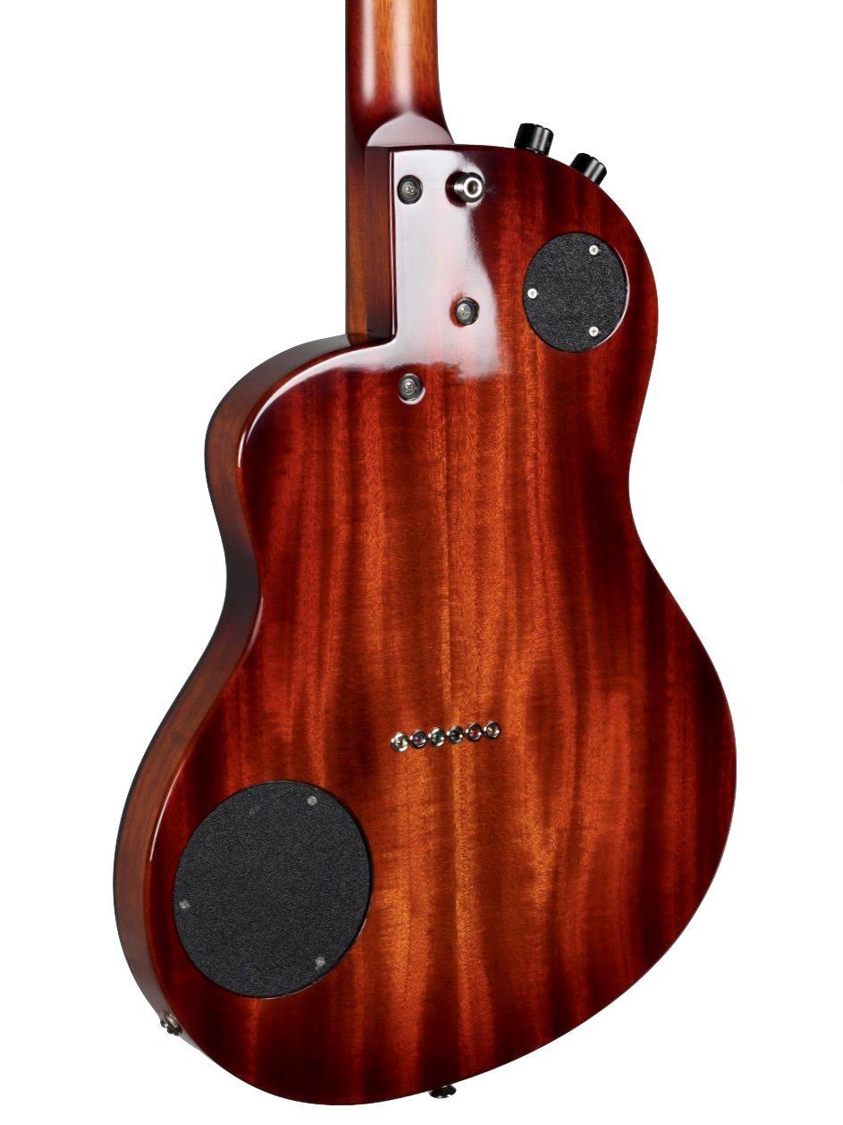 Renaissance RS6 Sunburst Custom #5526 - Rick Turner Guitars - Heartbreaker Guitars