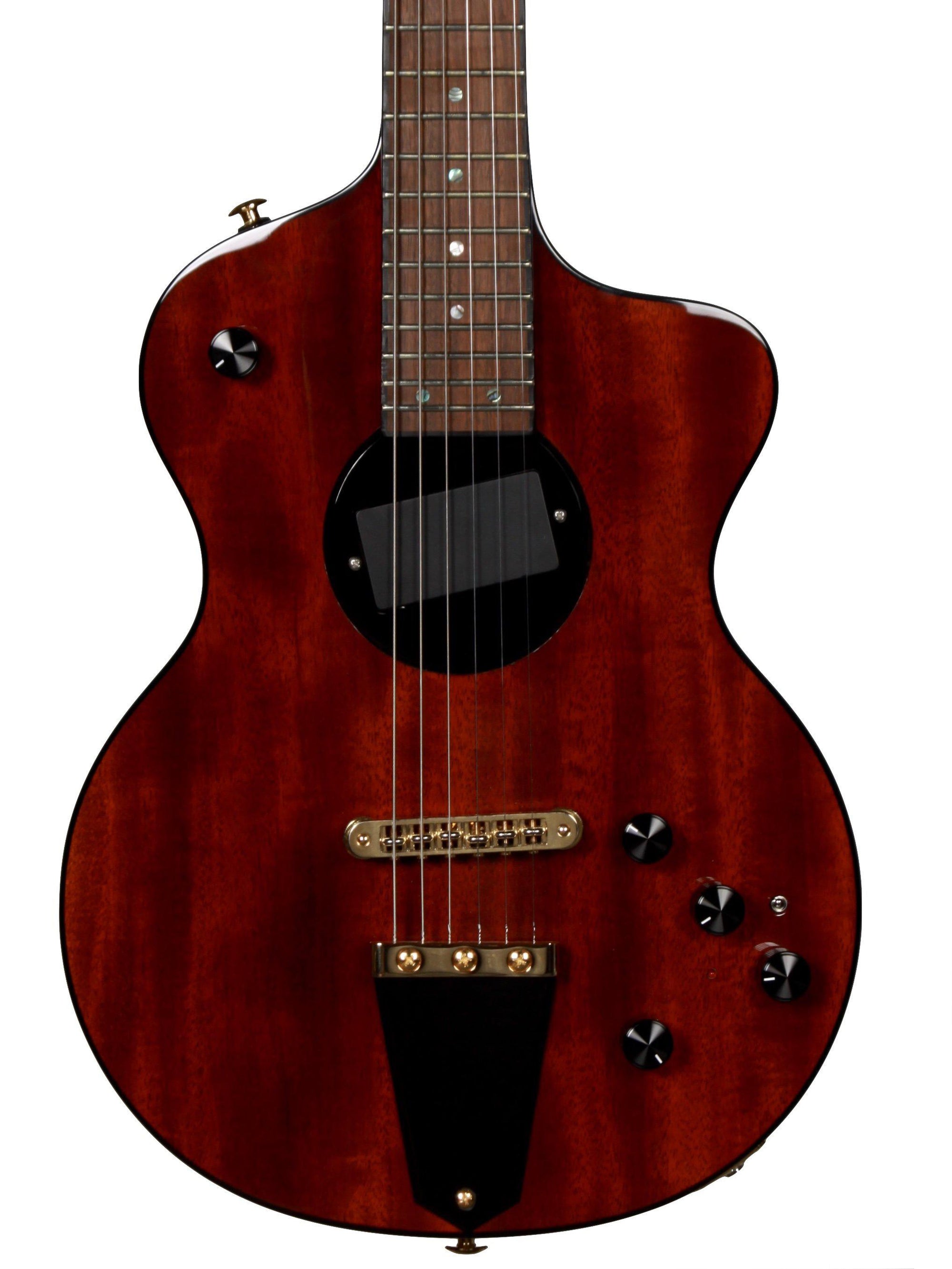 Rick Turner Model 1 Lindsey Buckingham with Piezo Gold Hardware - Rick Turner Guitars - Heartbreaker Guitars