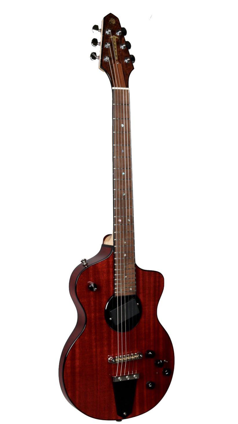 Rick Turner Model 1 Lindsey Buckingham with Piezo #5510 - Rick Turner Guitars - Heartbreaker Guitars