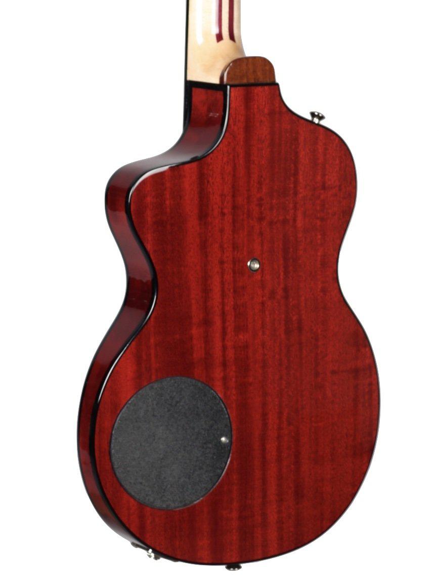 Rick Turner Model 1 Lindsey Buckingham with Piezo #5510 - Rick Turner Guitars - Heartbreaker Guitars