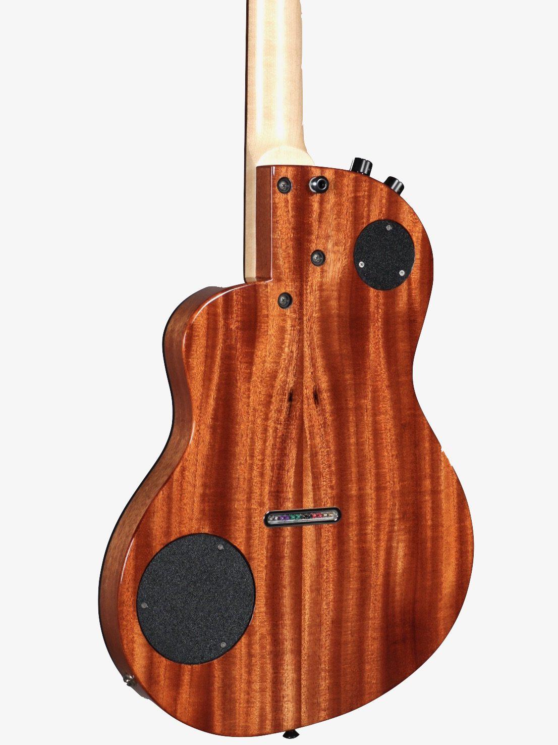 Renaissance RS12 Custom Maple 12 String by Rick Turner Serial #5531 - Rick Turner Guitars - Heartbreaker Guitars