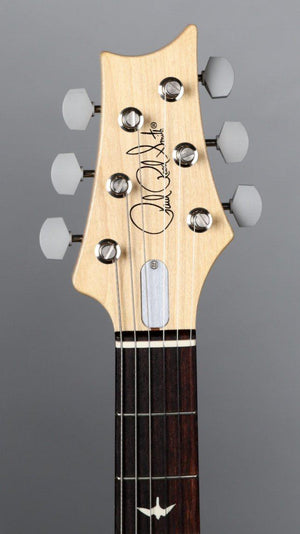 Paul Reed Smith Silver Sky Golden Mesa John Mayer Guitar #288409 - Paul Reed Smith Guitars - Heartbreaker Guitars